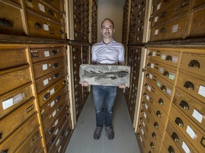 Dr. Jean-Bernard Caron, senior curator of invertebrate palaeontology at the Royal Ontario Museum, photographed on Friday November 9, 2018.