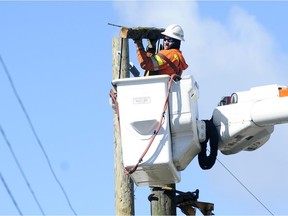 Despite a tripling in the number of storms that impacts B.C. Hydro's operations, the amount of time customers have been left powerless and in the dark has remained "relatively stable," according to a new report.