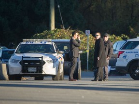 Homicide investigators have been called in after a body was found Sunday morning underneath the Golden Ears Bridge in Maple Ridge.