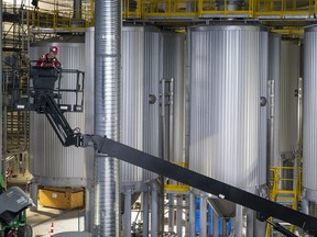 A worker on a lift in front of several massive fermentation tanks at the Molson Coors brewery in Chilliwack.