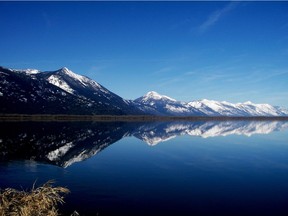 The Darkwoods on the west side of Kootenay Lake in 2008.