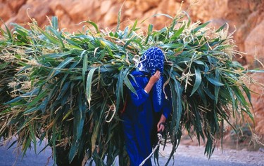 A Berber woman covers up for the camera in the High Atlas.