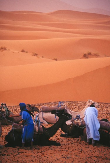 Tuaregs get the camels ready for the journey back to camp.
