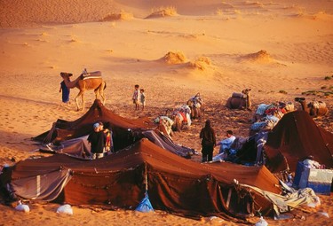 Morning camp on the camel safari, Erg Chebbi.