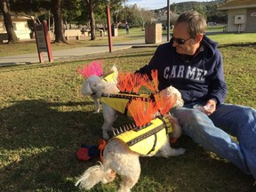 Paul Mott, inventor of the Coyote Vest with three of his dogs.