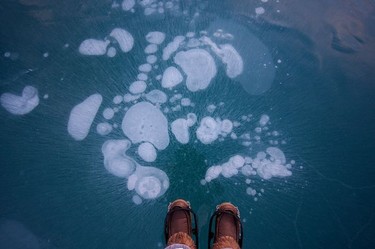 Ice bubbles on Abraham Lake.