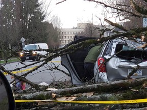 A car damaged by a fallen tree in east Vancouver on Thursday afternoon.