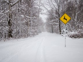 An early blast of winter on the weekend brought a dump of snow and some record low temperatures to parts of British Columbia.