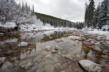 One of the many picturesque scenes of a winter wonderland along Maligne Lake Road.