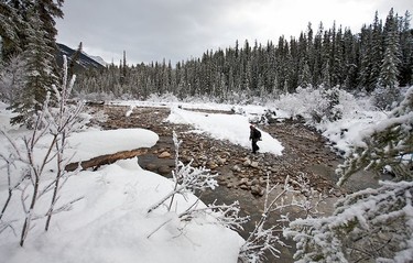 One of the many scenes of a winter wonderland along Maligne Lake Road.