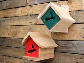 A mason bee house ($34.99 to $199.99 from GardenWorks) is a gift gardeners of all ages could appreciate. Bees will come in spring.