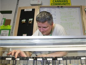 An employee with the Medicinal Cannabis Dispensary arranges samples of the marijuana in the front counter of the store in Vancouver.