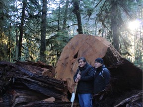 Master carver Tim Paul stands beside an ancient cedar to be used for a pole with Edward Johnson Jr., health and wellness co-ordinator for the Huu-ay-aht First Nations.