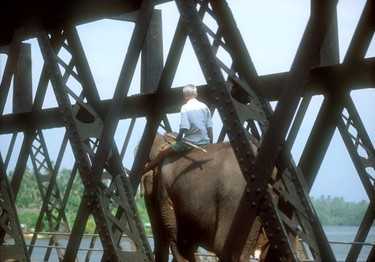 Working elephants and their owners may be spotted anywhere, especially in the Kandy area.