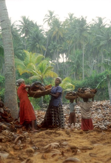 Women hard at work at a coconut factory. The husk is used to make ropes, mats and bed filling.