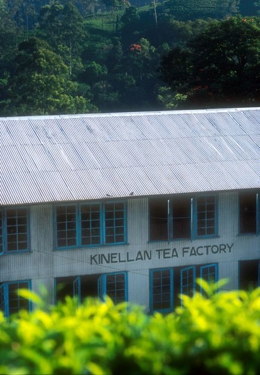 Tea factory near Ella. Many offer tours and a chance to buy quality teas.