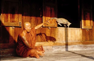 A fast shutter captures the moment. Nga Phe Kyuang Monastery, Myanmar.