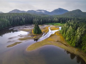 Hauyat is a 6,000-year-old Heiltsuk village on the central coast of B.C. It's the focus of a new interactive website, hauyat.ca, with Heiltsuk language, teachings and stories.