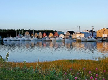 L.A. Murray Harbour .