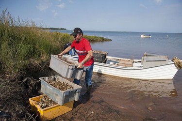 Brian Lewis from Future Seafoods unloads some boxes of oysters.