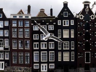 Row of typical Amsterdam houses near the Centraal Station.