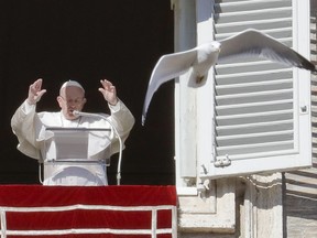 A seagull flies by as Pope Francis delivers his blessing during the Angelus noon prayer he recited from the window of his studio overlooking St. Peter's Square at the Vatican, Tuesday, Jan. 1, 2019.