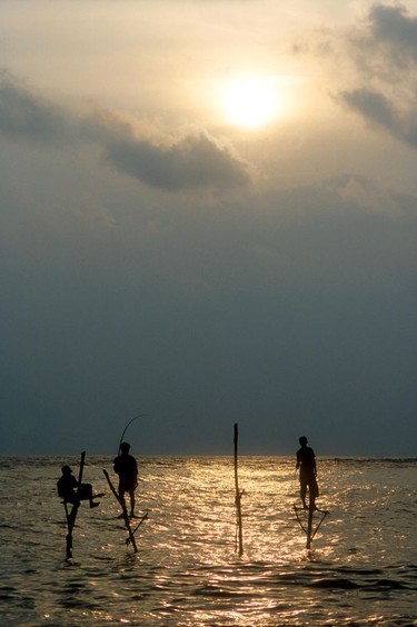 Sri Lanka's famous stilt fisherman at dusk on the island's south coast.