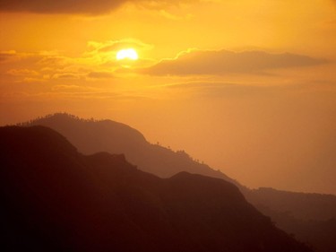 Magnificent sunrise view in tea country.