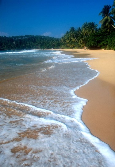 Beach scene-Mirissa.