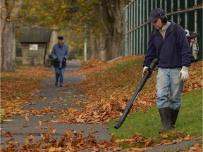 Vancouver, B.C.: Oct. 29, 2003 – A parks board worker uses a leaf blower in Stanley Park.