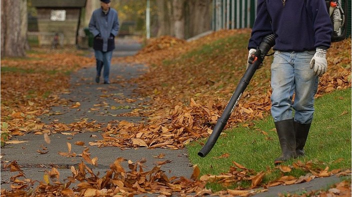 Vancouver takes step towards banning gas-powered leaf-blowers by 2024