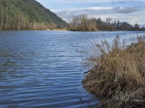 There are fears asbestos-laced sediment deposited on the banks of the Sumas River could be stirred up by the wind or human activity and be inhaled.