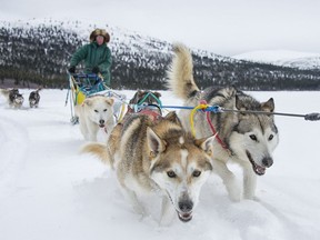 Dog sledding is a popular activity on Fish Lake near Whitehorse.