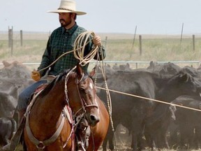 A search is underway near Merritt for missing cowboy Ben Tyner.