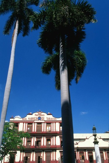 A visit to the Partagas cigar factory is a pilgrimage for many visitors to Havana.