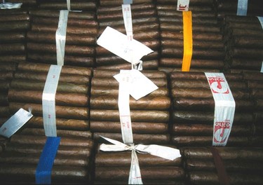 Quality Cuban cigars for sorting and packing, Partagas Cigar factory.