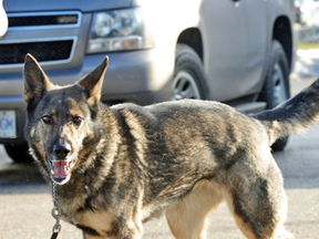 Upon sniffing the car — her tail wagging and nose bouncing off the van — Doods began to signal there were drugs, but her attempt to sit was impeded by a concrete barrier near the vehicle.