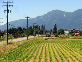 Farmland in B.C., such as this scenic property in Chilliwack, could see government restrictions relaxed on secondary homes.