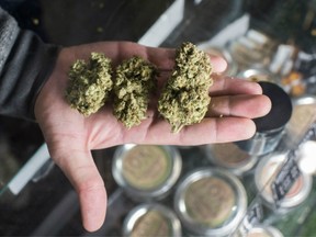 The B.C. government hopes sales of cannabis will improve in coming months as more stores open.