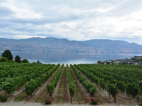 In In 2016, the grape crop rose above the norm in quality across most of British Columbia, and will be talked about for a long time.