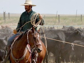 A search is underway near Merritt for missing cowboy Ben Tyner. [PNG Merlin Archive]