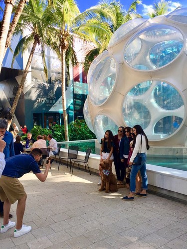 A replica of Buckminster Fuller's Fly Eye Dome is a popular spot for picture-taking in the Design District.