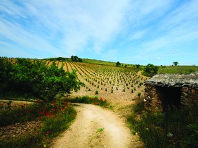 Gil Family Estates is a collection of 11 diverse Spanish wineries. The wines, coming from every corner of Spain, reflect the landscape, climatic influences and style of their origins.