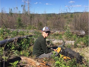 Lisa Wood, a forester and assistant professor at the University of Northern B.C., is the author of a study on the impact of aerial spraying of the herbicide glyphosate in the Canadian Journal of Forest Research.