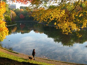 Lafontaine Park in Montreal's Plateau Mont-Royal neighbourhood.