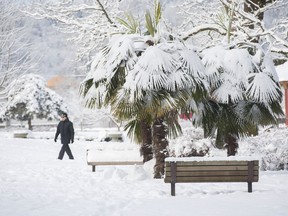 People enjoy the snowy landscape at Rocky Point Park in Port Moody, BC Wednesday, February 13, 2019.