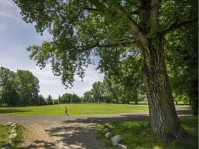 Strathcona Park as seen from Raymur Avenue at William Street in Vancouver. A panel of 42 residents and business representatives is hashing out the pros and cons of various arterials through Strathcona.