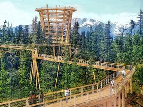A mockup of the elevated tree walk proposed by Sea to Sky Gondola.
