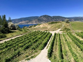 In 2018, Singletree Winery bought vineyards and opened a tasting room in Naramata, British Columbia.