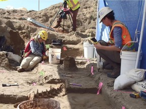 Palaeontologists carefully unearth the bones of a 12,500-year-old prehistoric bison near B.C. Hydro's Site C dam construction site, which was discovered by construction crews and is one of the more significant finds under the heritage management plan for the project.